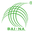 pixabay