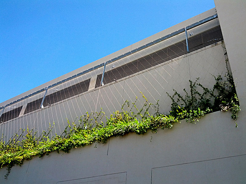 植物攀爬网产品展示01