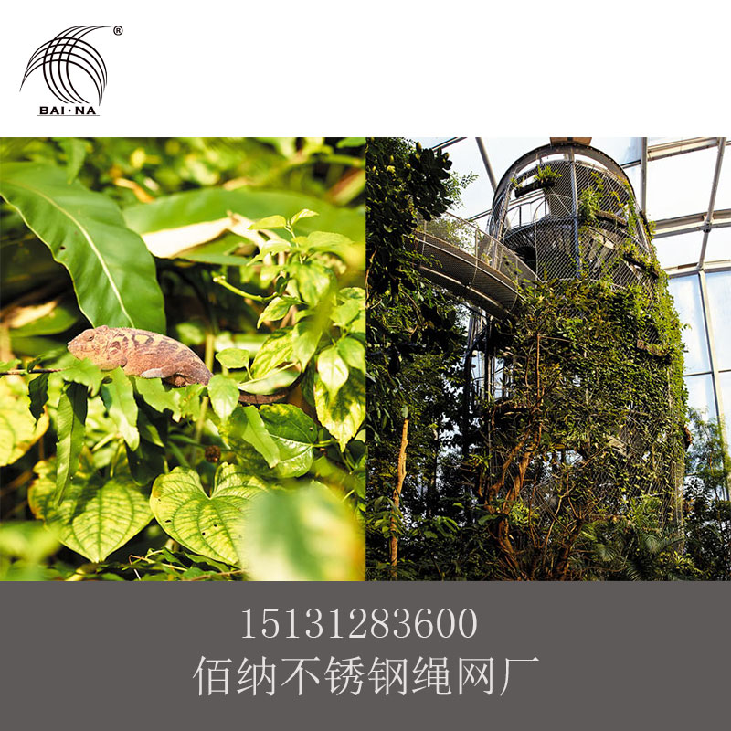 不锈钢植物攀爬网