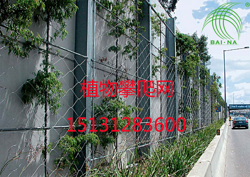 植物攀爬网
