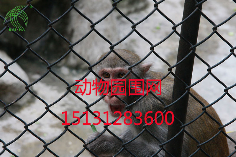 动物园围网