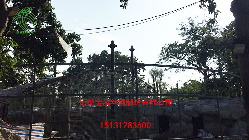 厦门动物园案例展示06