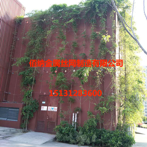 植物攀爬网